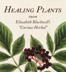 Healing Plants : From Elizabeth Blackwell's a Curious Herbal