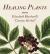 Healing Plants : From Elizabeth Blackwell's a Curious Herbal