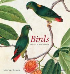 Birds : The Art of Ornithology