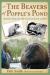 The Beavers of Popple's Pond : Sketches from the Life of an Honorary Rodent