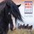 Wild Horse Freedom Federation 2017 Wild Horse Calendar : The Mccullough Peaks Herd