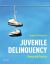 Juvenile Delinquency : Theory to Practice