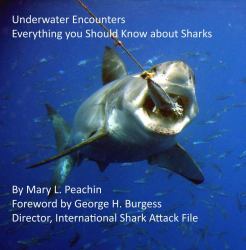 Underwater Encounters