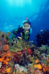 Caribbean Scuba Diving