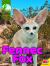 Fennec Fox