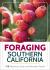 Foraging in Southern California : 100 Nutritious, Tasty Edibles to Harvest in Bulk