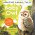 Amazing Animal Tales: Baby Owl