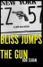 Bliss Jumps the Gun : A Lenny Bliss Mystery