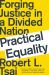 Practical Equality : Forging Justice in a Divided Nation