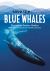 Save the... Blue Whales