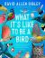 What It's Like to Be a Bird (Adapted for Young Readers) : From Flying to Nesting, Eating to Singing--What Birds Are Doing and Why