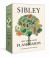 Sibley Tree Identification Flashcards : 100 Trees of North America