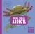 Hello, I'm an Axolotl (Meet the Wild Things, Book 4)