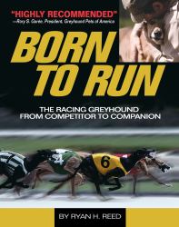 Born to Run : The Racing Greyhound, from Competitor to Companion