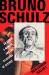 Bruno Schulz : An Artist, a Murder, and the Hijacking of History