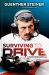 Surviving to Drive : A Year Inside Formula 1: an F1 Book