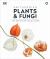 Plants and Fungi : The Definitive Visual Encyclopedia