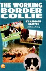 The Working Border Collie : AKC Rank #83