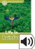 Oxford Read and Discover: Level 3 Life in Rainforests Mp3 Pack