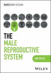 The Male Reproductive System