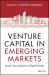 Venture Capital in Emerging Markets : Lessons from Indonesia's Digital Decade