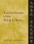 Tai Chi Secrets of the Wu and Li Styles : Chinese Classics, Translations, Commentary