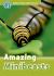 Read and Discover : Level 3: 600-Word VocabularyAmazing Minibeasts Audio CD Pack