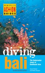 Diving Bali : The Underwater Jewel of Southeast Asia