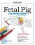 Fetal Pig Coloring Book : A Laboratory Manual