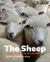 The Sheep : Health, Disease and Production