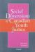 Social Dimensions of Canadian Youth Justice