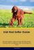 Irish Red Setter Guide Irish Red Setter Guide Includes : Irish Red Setter Training, Diet, Socializing, Care, Grooming, and More