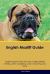 English Mastiff Guide English Mastiff Guide Includes : English Mastiff Training, Diet, Socializing, Care, Grooming, Breeding and More