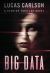 Big Data : A Startup Thriller Novel