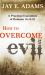 How to Overcome Evil : A Practical Exposition of Romans 12:14-21