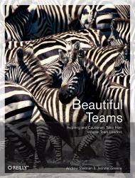 Beautiful Teams : Inspiring and Cautionary Tales from Veteran Team Leaders