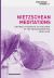 Nietzschean Meditations : Untimely Thoughts at the Dawn of the Transhuman Era