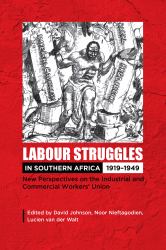 Labour Struggles in Southern Africa, 1919-1949 : New Perspectives on the Industrial and Commercial Workers' Union (ICU)