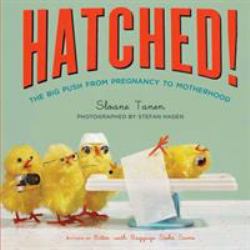 Hatched! : The Big Push from Pregnancy to Motherhood