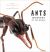 Ants : Workers of the World