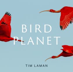 Bird Planet : A Photographic Journey