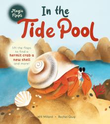 In the Tide Pool : A Magic Flaps Book