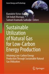 Sustainable Utilization of Natural Gas for Low-Carbon Energy Production : Attaining Low-Carbon Energy Production Through Sustainable Natural Gas Utilization