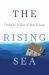 Rising Sea