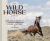 The Wild Horse Effect : Awe, Well-Being, and the Transformative Power of Nature