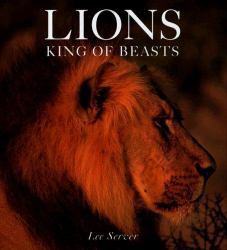 Lions : King of Beasts