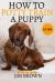 How to Potty Train a Puppy : Guide