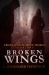 Broken Wings : Cruel and Beautiful World Book One