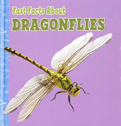 Fast Facts about Dragonflies