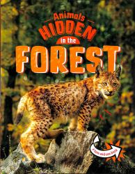 Animals Hidden in the Forest